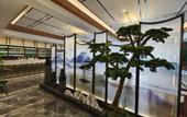 Туры в отель TILL BRIGHT Hotel (Changsha Binjiang Jinrong Center)