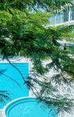 Туры в отель Xin Asia  Hotel