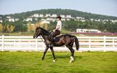 Туры в отель TONINO LAMBORGHINI RESORT YIXING