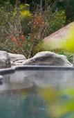 Туры в отель FUZHOU ROYAL HOT SPRING HOTEL & RESORT