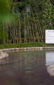 Туры в отель FUZHOU ROYAL HOT SPRING HOTEL & RESORT