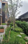 Туры в отель Chengdu Tianfu Zhanqi Hotel
