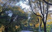 Туры в отель Maison New Century Hotel Wenling Taizhou