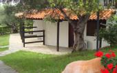Туры в отель Maistrali Beach Hotel
