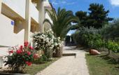 Туры в отель Maistrali Beach Hotel