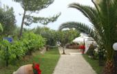 Туры в отель Maistrali Beach Hotel