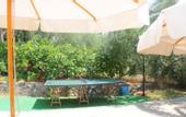 Туры в отель Maistrali Beach Hotel