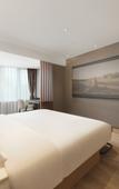 Туры в отель Lucy Hotel  (Chongzhou Government Central Plaza)
