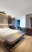 Туры в отель Lucy Hotel  (Chongzhou Government Central Plaza)