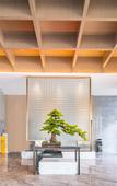 Туры в отель OUSILANDE International Hotel