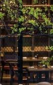 Туры в отель Mumian Chengdu, The Unbound Collection by Hyatt