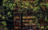 Туры в отель Mumian Chengdu, The Unbound Collection by Hyatt