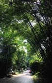 Туры в отель Taiping Lijin Hotel