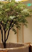 Туры в отель Wuyi Kaiyuan Guantang  Hotel