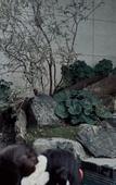 Туры в отель TIANMU LAKE FU VALLEY HOTEL