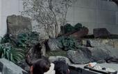Туры в отель TIANMU LAKE FU VALLEY HOTEL
