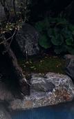Туры в отель TIANMU LAKE FU VALLEY HOTEL