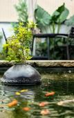 Туры в отель The  WeiMei B&B
