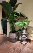 Туры в отель The  WeiMei B&B