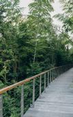 Туры в отель Tianmu Yunyou Space Capsule Homestay