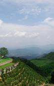 Туры в отель Tianmu Yunyou Space Capsule Homestay