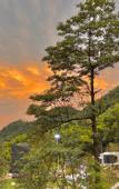 Туры в отель Tianmu Yunyou Space Capsule Homestay