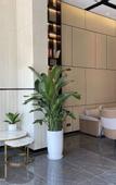 Туры в отель Heyi light luxury hotel