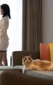 Туры в отель Home2 Suites by Hilton Guiyang GuanShanHu HuiZhanCheng