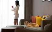 Туры в отель Home2 Suites by Hilton Guiyang GuanShanHu HuiZhanCheng