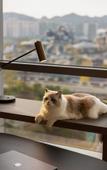 Туры в отель Home2 Suites by Hilton Guiyang GuanShanHu HuiZhanCheng