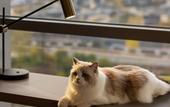 Туры в отель Home2 Suites by Hilton Guiyang GuanShanHu HuiZhanCheng