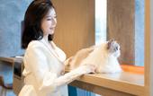 Туры в отель Home2 Suites by Hilton Guiyang GuanShanHu HuiZhanCheng