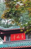 Туры в отель DoALand V Hotel (Changsha Wuyi Square Shazitang Subway Station Branch)