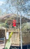 Туры в отель Anji Zhuxianhu Narada Resorts