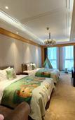 Туры в отель T-JOY Hotel Guazhu Lake