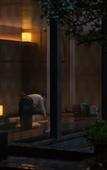 Туры в отель Annai · Xizhou Ji Hotel