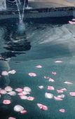 Туры в отель Conghua LN Dongfang Hot Spring Hotel