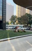 Туры в отель Changxing Hongyun International Hotel