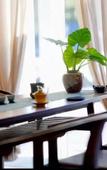 Туры в отель SIF HOTEL