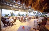 Туры в отель Majestic Elegance Punta Cana