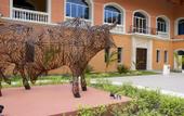 Туры в отель Majestic Elegance Punta Cana