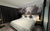 Туры в отель Shankee Coffee Style Hotel (Lingshui yingzhouqingshuiwan)