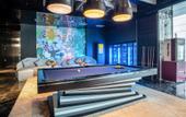 Туры в отель CityNote S Hotel (Ningbo Jiangbei Vientiane City Branch)