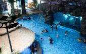 Туры в отель Pelican Hotel