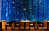 Туры в отель Pelican Hotel