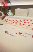 Туры в отель Shangjin International Hotel