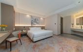 Туры в отель Shangjin International Hotel