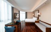 Туры в отель SSAW Boutique Hotel Foshan Qiandeng Lake