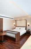 Туры в отель SSAW Boutique Hotel Foshan Qiandeng Lake