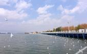 Туры в отель FANKOO Hotel